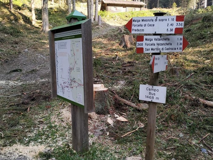 trekking