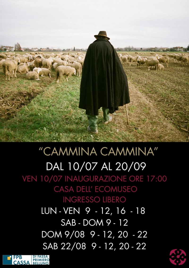 cammina