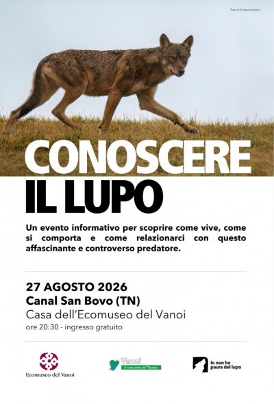IO NON HO PAURA DEL LUPO 