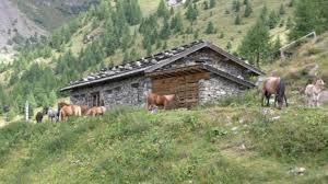 MASO TREKKING SPECIAL