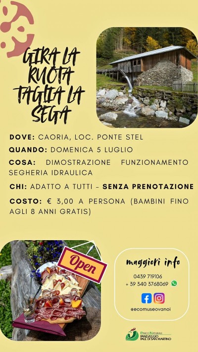 GIRA LA RUOTA, TAGLIA LA SIEGA
