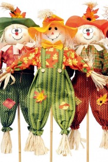 Spaventapasseri al campo sperimentale