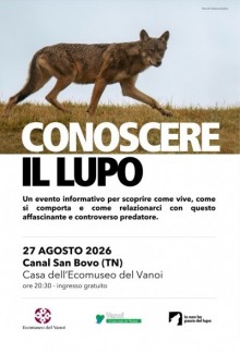 IO NON HO PAURA DEL LUPO 