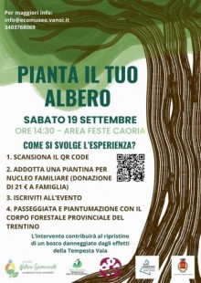 PIANTA IL TUO ALBERO