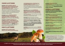 Festa delle Brise e del Bosco