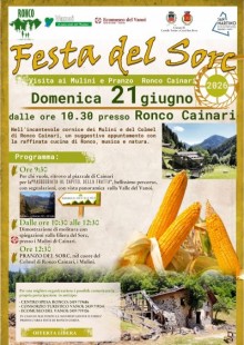 Festa del Sorc 